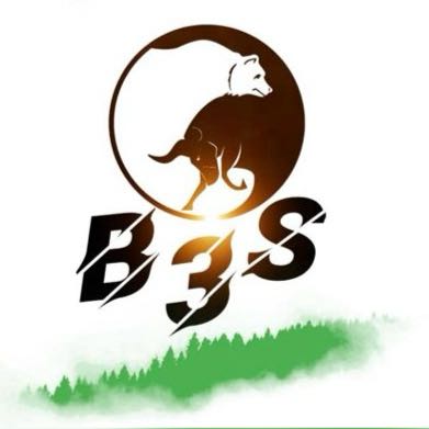 B3S